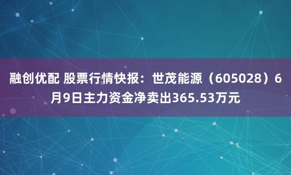 融创优配 股票行情快报：世茂能源（605028）6月9日主力资金净卖出365.53万元