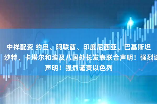 中祥配资 约旦、阿联酋、印度尼西亚、巴基斯坦、土耳其、沙特、卡塔尔和埃及八国外长发表联合声明！强烈谴责以色列