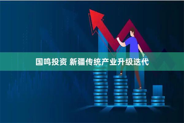 国鸣投资 新疆传统产业升级迭代